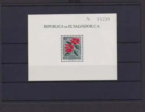 El Salvador Übersee Block Briefmarken Flor de Pascua Luxus postfrisch