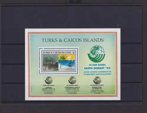 Turks und Caicos Inseln Block Briefmarken Earth Summit 1992 Luxus postfrisch