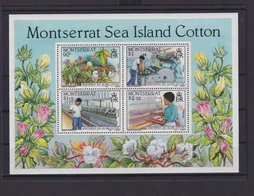 Montserrat Übersee Block Briefmarken Baumwolle 1985 Luxus postfrisch