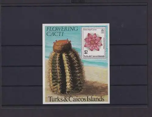 Turks und Caicos Inseln Block Briefmarken Pflanzen Kaktus Luxus postfrisch
