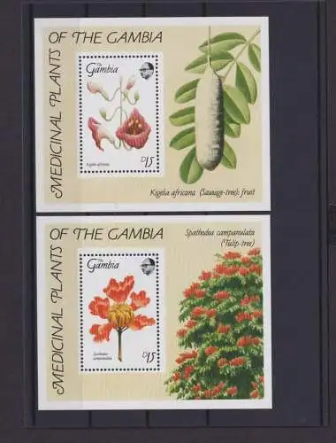 Gambia Afrika Übersee Block Briefmarken Medizinal Pflanzen Luxus postfrisch