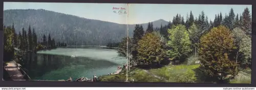 Ansichtskarte Klappkarte Eisenstein Österreich Bayern Arbersee m. Uferlandschaft
