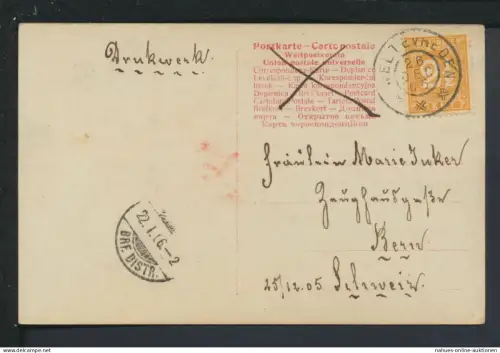 Ansichtskarte Weltevreden Niederländisch Indien Mädchen Blumen 1916 Bern Schweiz