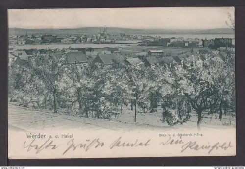 Ansichtskarte Werder Havel Brandenburg 1906 Frankfurt Hessen