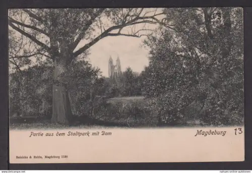 Ansichtskarte Magdeburg Sachsen Anhalt Stadtpark mit Dom