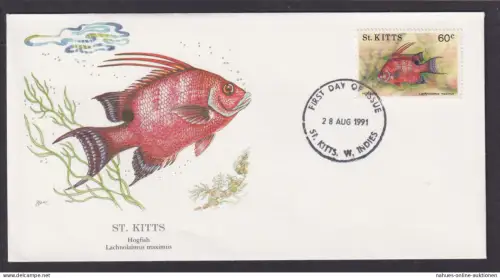 St. Kitts Karibik Insel Fauna Fische Lippfisch schöner Künstler Brief