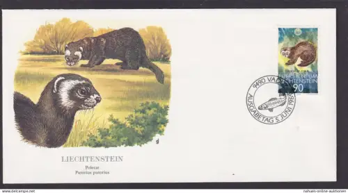 Liechtenstein Fauna Iltis Schöner Künstler Brief
