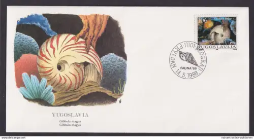 Yugoslawija Jugoslawien Fauna Muschel Gibbula Magnus schöner Künstler Brief