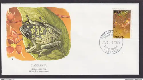 Tansania Ostafrika Fauna Frosch Schöner Künstler Brief
