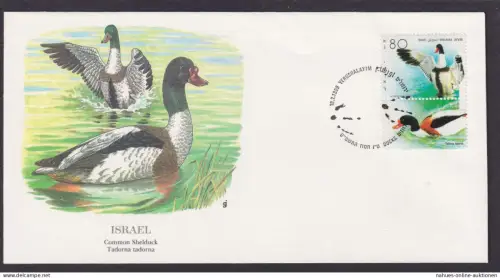 Israel Mittlerer Osten Fauna Brandent Schöner Künstler Brief