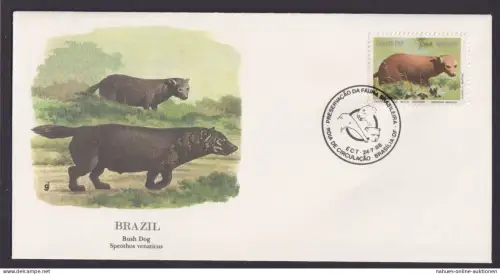 Brasilien Südamerika Brazil Fauna Buschhund schöner Künstler Brief