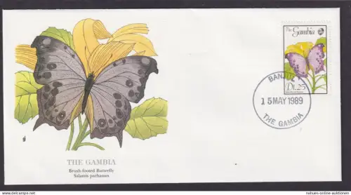 Gambia Westafrika Fauna Laubfrosch Schöner Künstler Brief