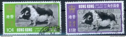 Hong Kong China Chin. Neujahr Jahr des Schweines Tiere Schwein sauber gestempelt