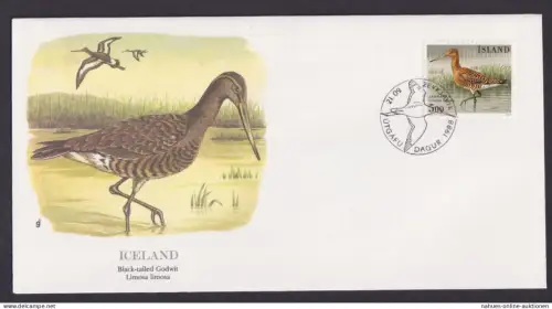 Iceland Island Fauna Vögel Uferschnäpfen schöner Künstler Brief