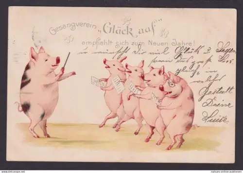 Ansichtskarte Neujahr Schwein Glücksschwein Tiere Ab Leipzig Sachsen n. Borna