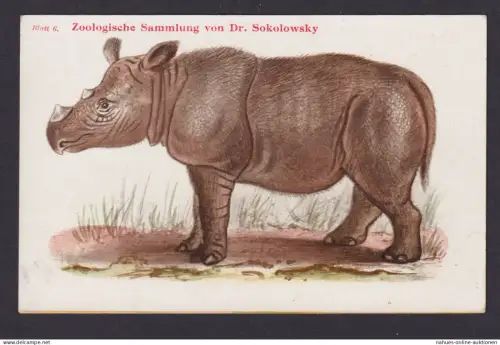 Ansichtskarte Zoologische Sammlung v. Dr. Sokolowsky Sumatra Nashorn