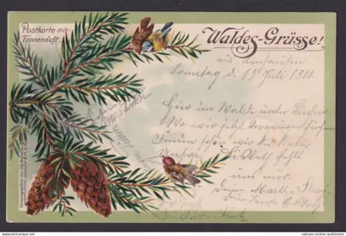 Ansichtskarte Duftkarte Künstlerkarte Waldesgruß mit Tannenduft ab Grossraming