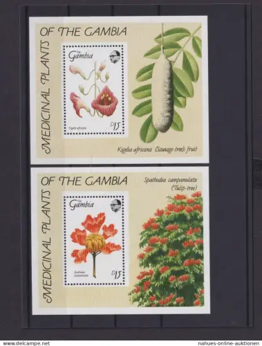Gambia Afrika Übersee Block Briefmarken Medizinal Pflanzen Luxus postfrisch