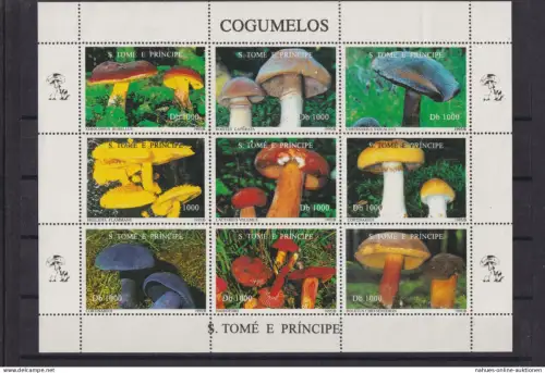 Sao Tome e Principe Übersee Block Briefmarken Pilze 1995 Luxus postfrisch