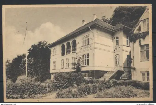 Ansichtskarte Dänemark Fredensborg Pension Peia