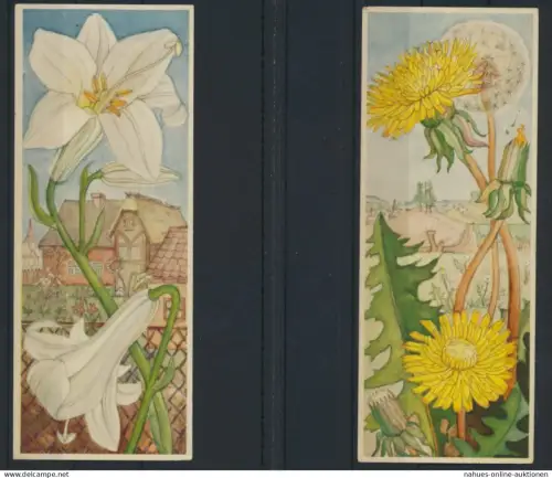 Sammelbilder Sparkasse Ulm Söflingen 8 Stück sehr schön mit Blumenmotiv Pflanzen