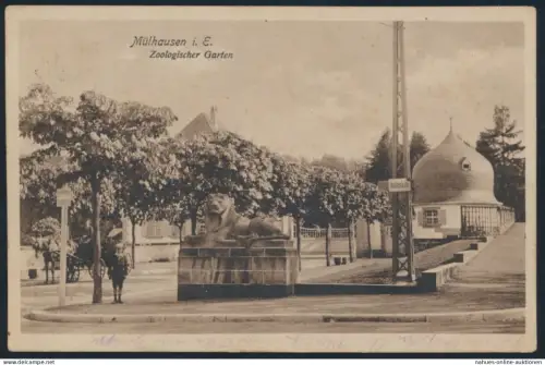 Ansichtskarte Mülhausen Elsass Zoo Tiere Löwen Passanten Feldpost Barien Hide