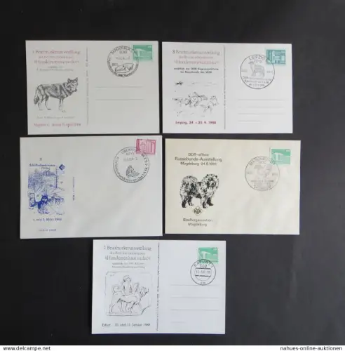 Briefe und Karten Sammlung Motiv Hunde DDR 5 Stück dabei Schlittenhunde und