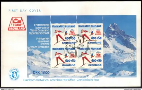 Grönland Block Wintersport Ski 1994