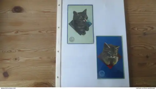Nachlass Katzen Ansichtskarten gute Reklame Sammlung Hoffmann Stärke 24 St selten