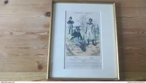 Thurn und Taxis Lippe Detmold u. Anhalt Bild Künstler Lithographie Uniformen der