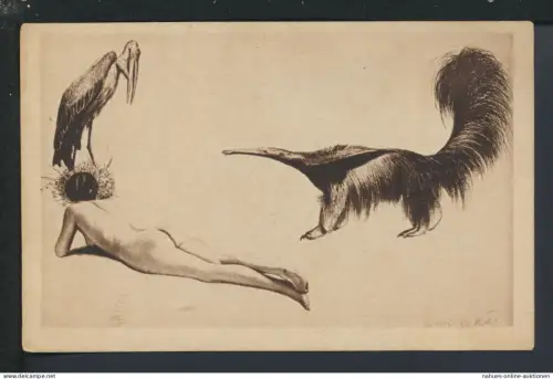 Ansichtskarte Künstler Prof Richard Müller Akt Erotik Tiere
