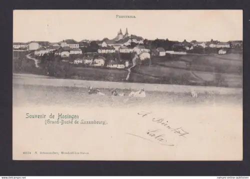 Ansichtskarte Hosingen Luxemburg nach Paris Frankreich mit Portomarke Nachgebühr