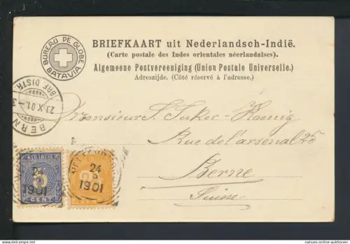 Ansichtskarte Weltevreden Niederländisch Indien Java 1901 Bern Schweiz