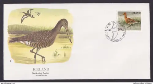 Island Iceland Fauna Vögel Uferschnäpfe schöner Künstler Brief