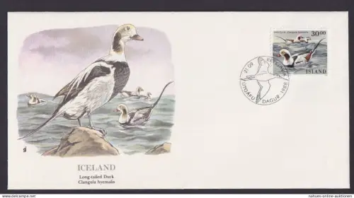 Iceland Island Fauna Vögel Eisenten schöner Künstler Brief