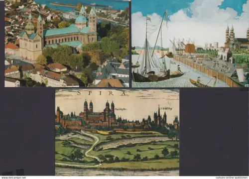 Ansichtskarte Sammlung Lots Künstlerkarte 3 Karten Speyer Rheinland Pfalz