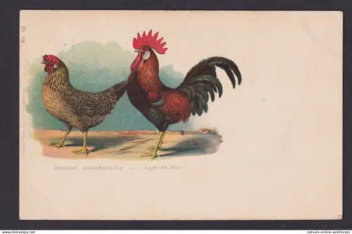Ansichtskarte Geflügel Künstlerkarte Huhn Hahn Italiener rebhunfarbig ab