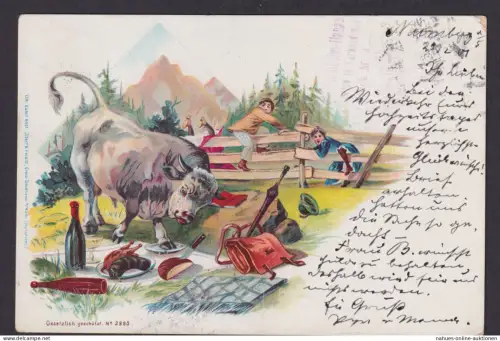 Ansichtskarte Künstlerkarte Scherzkarte Humor Jungen Fluch vor Stier Champing ab