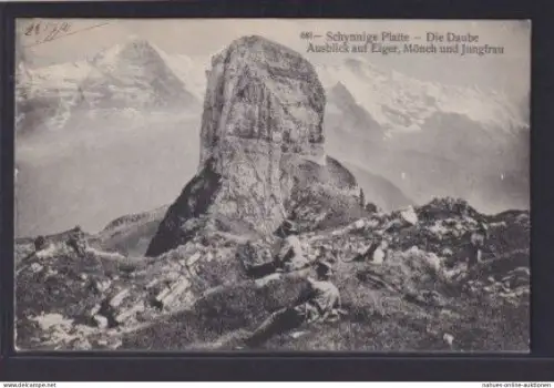 Ansichtskarte Schynnige Platte Schweiz Die Daube Ausblick auf Eiger und Jungfrau