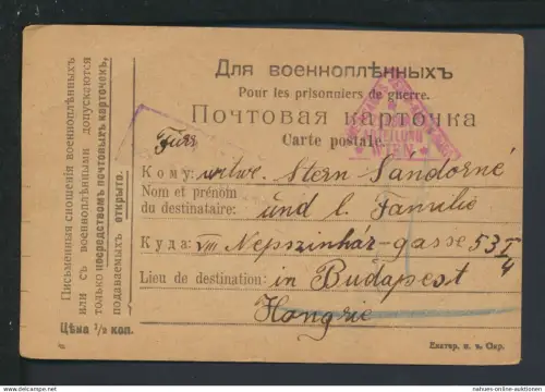 Kriegsgefangenenpost Russland 1917 Stempel Zensur Abteilung Wien Budapest Ungarn