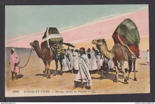 Ansichtskarte Arabische Hochzeit Die Brautleute Tiere Kamele