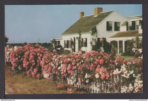 Ansichtskarte Cape Cod Massachusetts USA 1951 Gand Belgien