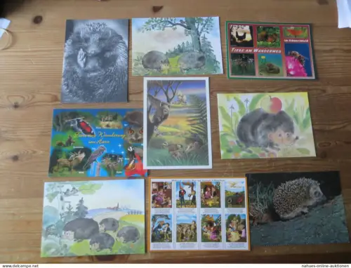 Nachlass Ansichtskarten Motiv Igel Tiere gesamt 16 Stück