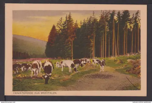 Künstler Ansichtskarte Heimatgrüsse aus Westfalen 31754 Hermann Lorch Dortmund