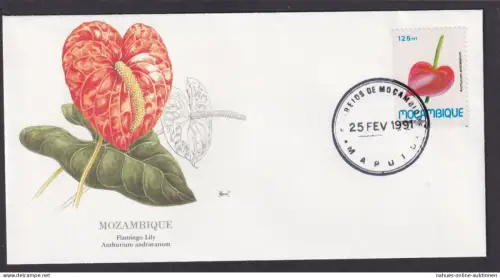 Mozambique Ostafrika Flora Pflanzen Flamingo Lilie schöner Künstler Brief