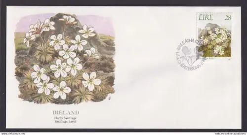 Ireland Irland Flora schöner Künstler Brief