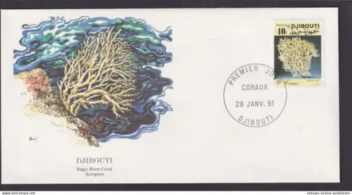 Djibouti Ostafrika Flora SHirschkornkoralle schöner Künstler Brief