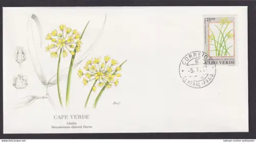 Cap Verde Afrika Flora Pflanzen Gistiba schöner Künstler Brief