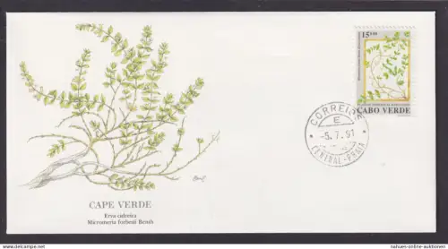 Cap Verde Afrika Flora Pflanzen Micromeria schöner Künstler Brief