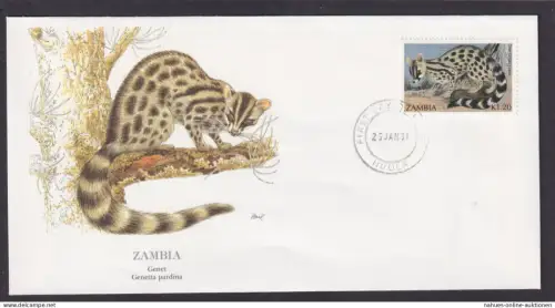 Sambia Afrika Fauns Genette Mungo schöner Künstler Brief